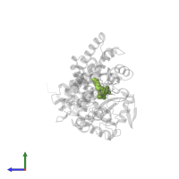 S-[2-({N-[(2S)-2-hydroxy-3,3-dimethyl-4-(phosphonooxy)butanoyl]-beta-alanyl}amino)ethyl] (9Z)-octadec-9-enethioate in PDB entry 3eje, assembly 3, side view.