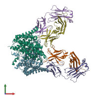 PDB entry 3ejz coloured by chain, front view.