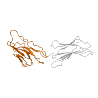 The deposited structure of PDB entry 3epf contains 1 copy of Pfam domain PF07686 (Immunoglobulin V-set domain) in Poliovirus receptor. Showing 1 copy in chain A [auth R].