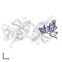 tRNA in PDB entry 3epl, assembly 1, front view.