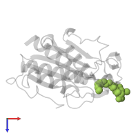 bromo(4-{3-[(R)-ethoxy(4-nitrophenoxy)phosphoryl]propyl}-2,6-bis[(methylsulfanyl-kappaS)methyl]phenyl-kappaC~1~)palladium(2+) in PDB entry 3esc, assembly 1, top view.