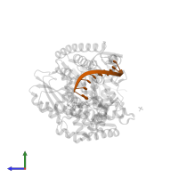 5'-D(*DCP*DCP*DTP*DGP*DAP*DCP*DTP*DCP*DG)-3' in PDB entry 3ez5, assembly 1, side view.