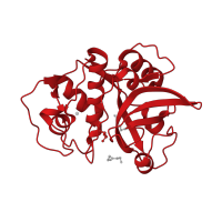 The deposited structure of PDB entry 3f5v contains 2 copies of CATH domain 3.90.70.10 (Cathepsin B; Chain A) in Der p 1 allergen. Showing 1 copy in chain A.