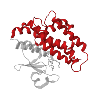 The deposited structure of PDB entry 3f63 contains 2 copies of CATH domain 1.20.1050.10 (Glutathione S-transferase Yfyf (Class Pi); Chain A, domain 2) in Glutathione transferase GST1-4. Showing 1 copy in chain A.