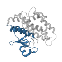 The deposited structure of PDB entry 3f63 contains 2 copies of CATH domain 3.40.30.10 (Glutaredoxin) in Glutathione transferase GST1-4. Showing 1 copy in chain A.