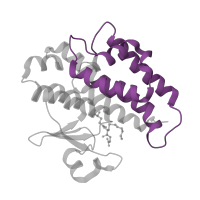 The deposited structure of PDB entry 3f63 contains 2 copies of Pfam domain PF13410 (Glutathione S-transferase, C-terminal domain) in Glutathione transferase GST1-4. Showing 1 copy in chain A.