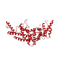 The deposited structure of PDB entry 3fay contains 1 copy of CATH domain 1.10.506.10 (GTPase Activation - p120GAP; domain 1) in Ras GTPase-activating-like protein IQGAP1. Showing 1 copy in chain A.