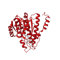 The deposited structure of PDB entry 3fco contains 2 copies of CATH domain 3.40.50.720 (Rossmann fold) in 11-beta-hydroxysteroid dehydrogenase 1. Showing 1 copy in chain A.