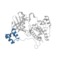 The deposited structure of PDB entry 3fe3 contains 2 copies of CATH domain 1.10.8.10 (Helicase, Ruva Protein; domain 3) in MAP/microtubule affinity-regulating kinase 3. Showing 1 copy in chain A.