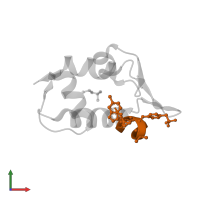 p53-peptidomimetic Ac-Phe-Met-Aib-Pmp-6-Cl-Trp-Glu-Ac3c-Leu-NH2 in PDB entry 3fea, assembly 1, front view.