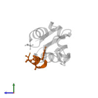 p53-peptidomimetic Ac-Phe-Met-Aib-Pmp-6-Cl-Trp-Glu-Ac3c-Leu-NH2 in PDB entry 3fea, assembly 1, side view.