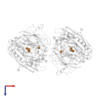 COPPER (II) ION in PDB entry 3fu9, assembly 1, top view.