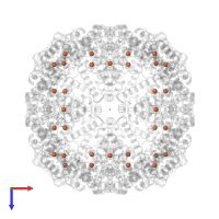 FE (III) ION in PDB entry 3fvb, assembly 1, top view.