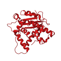 The deposited structure of PDB entry 3g0z contains 1 copy of CATH domain 3.30.420.10 (Nucleotidyltransferase; domain 5) in Poly(A) ribonuclease pop2. Showing 1 copy in chain A.