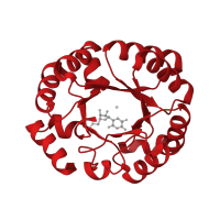 The deposited structure of PDB entry 3g1v contains 2 copies of CATH domain 3.20.20.70 (TIM Barrel) in Orotidine 5'-phosphate decarboxylase. Showing 1 copy in chain A.