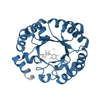 The deposited structure of PDB entry 3g1v contains 2 copies of Pfam domain PF00215 (Orotidine 5'-phosphate decarboxylase / HUMPS family) in Orotidine 5'-phosphate decarboxylase. Showing 1 copy in chain A.