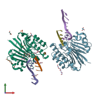 PDB entry 3g2d coloured by chain, front view.