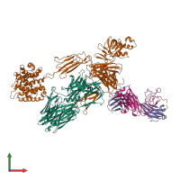 Hetero tetrameric assembly 2 of PDB entry 3g6j coloured by chemically distinct molecules, front view.