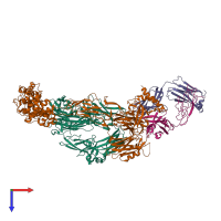 Hetero tetrameric assembly 2 of PDB entry 3g6j coloured by chemically distinct molecules, top view.