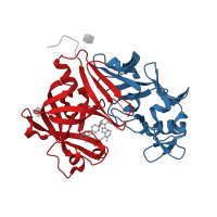 The deposited structure of PDB entry 3g6z contains 4 copies of CATH domain 2.40.70.10 (Cathepsin D, subunit A; domain 1) in Renin. Showing 2 copies in chain A.