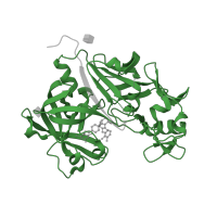 The deposited structure of PDB entry 3g6z contains 2 copies of Pfam domain PF00026 (Eukaryotic aspartyl protease) in Renin. Showing 1 copy in chain A.
