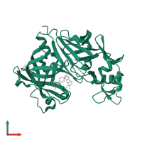 Renin in PDB entry 3g6z, assembly 2, front view.