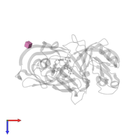 2-acetamido-2-deoxy-beta-D-glucopyranose in PDB entry 3g72, assembly 1, top view.
