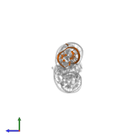 RNA (5'-R(*GP*CP*GP*CP*CP*AP*GP*AP*AP*CP*U)-3') in PDB entry 3g9c, assembly 1, side view.