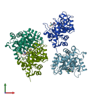 PDB entry 3gdt coloured by chain, front view.