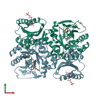 PDB entry 3gfz coloured by chain, front view.