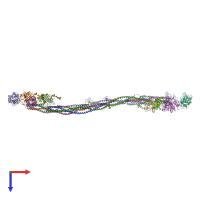 PDB entry 3ghg coloured by chain, top view.