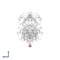 BICARBONATE ION in PDB entry 3glr, assembly 1, side view.