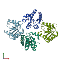 PDB entry 3grc coloured by chain, front view.