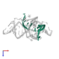 RNA (5'-R(*UP*CP*CP*CP*AP*GP*UP*CP*CP*AP*CP*CP*GP*U)-3') in PDB entry 3gs8, assembly 1, top view.