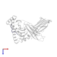 HCMV pp65 fragment 495-503, variant M5S (NLVPSVATV) in PDB entry 3gsq, assembly 1, top view.