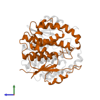 Glutathione S-transferase Mu 3 in PDB entry 3gtu, assembly 1, side view.