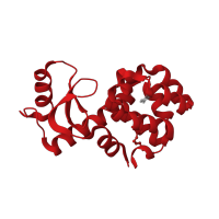 The deposited structure of PDB entry 3gum contains 2 copies of CATH domain 1.10.530.40 (Lysozyme) in Endolysin. Showing 1 copy in chain A.