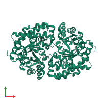 Uroporphyrinogen decarboxylase in PDB entry 3gvq, assembly 1, front view.