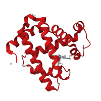 The deposited structure of PDB entry 3hc9 contains 1 copy of CATH domain 1.10.490.10 (Globin-like) in Myoglobin. Showing 1 copy in chain A.