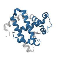 The deposited structure of PDB entry 3hc9 contains 1 copy of Pfam domain PF00042 (Globin) in Myoglobin. Showing 1 copy in chain A.