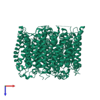 Ammonium transporter Rh type C in PDB entry 3hd6, assembly 1, top view.