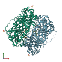 PDB entry 3hdi coloured by chain, front view.