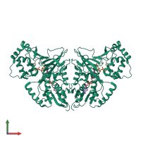 Homo dimeric assembly 5 of PDB entry 3hdq coloured by chemically distinct molecules, front view.