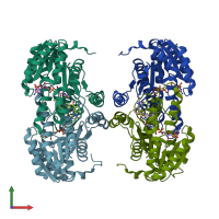 PDB entry 3hfg coloured by chain, front view.