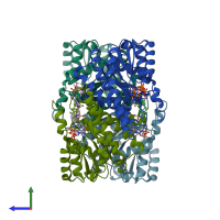 PDB entry 3hfg coloured by chain, side view.