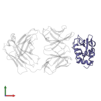 Lysozyme C in PDB entry 3hfm, assembly 1, front view.