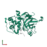 Cathepsin L in PDB entry 3hha, assembly 1, front view.