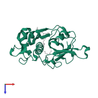 Cathepsin L in PDB entry 3hha, assembly 1, top view.
