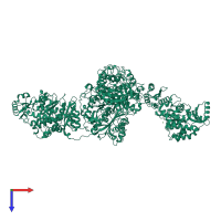 Homo dimeric assembly 2 of PDB entry 3hhd coloured by chemically distinct molecules, top view.