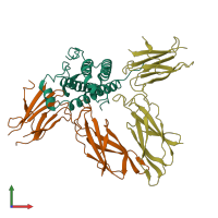 PDB entry 3hhr coloured by chain, front view.